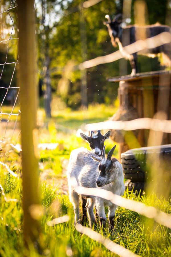 Westergards Föglö エクステリア 写真
