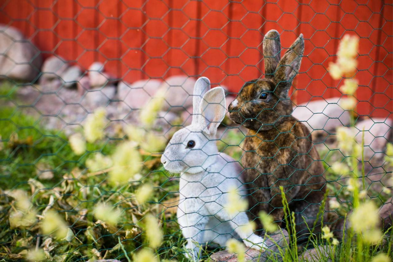 Westergards Föglö エクステリア 写真